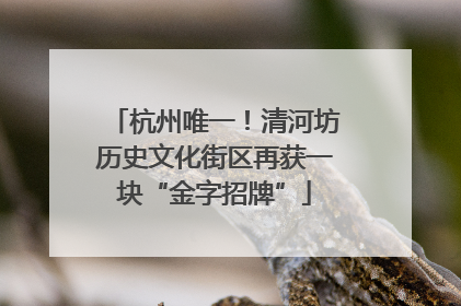 杭州唯一！清河坊历史文化街区再获一块“金字招牌”