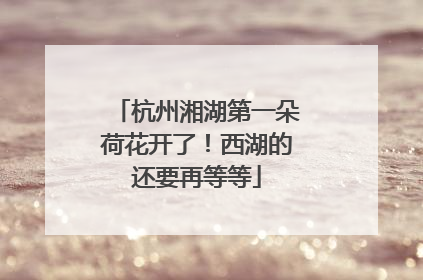 杭州湘湖第一朵荷花开了！西湖的还要再等等