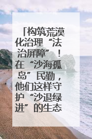 构筑荒漠化治理“法治屏障”！在“沙海孤岛”民勤，他们这样守护“沙退绿进”的生态奇迹