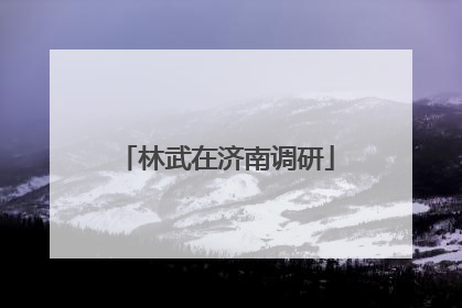 林武在济南调研