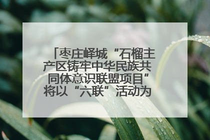 枣庄峄城“石榴主产区铸牢中华民族共同体意识联盟项目”将以“六联”活动为抓手深化品牌建设