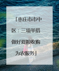 枣庄市市中区：三项举措做好夏粮收购为农服务