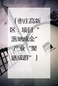 枣庄高新区：项目“落地成金” 产业“聚链成群”