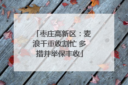枣庄高新区：麦浪千重收割忙 多措并举保丰收