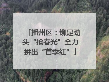播州区：铆足劲头“抢春光”全力拼出“首季红”
