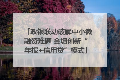 政银联动破解中小微融资难题 金塘创新“年报+信用贷”模式