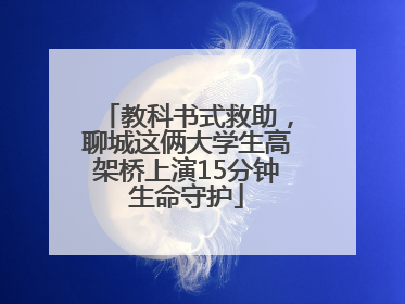 教科书式救助，聊城这俩大学生高架桥上演15分钟生命守护