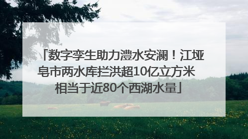 数字孪生助力澧水安澜！江垭皂市两水库拦洪超10亿立方米 相当于近80个西湖水量