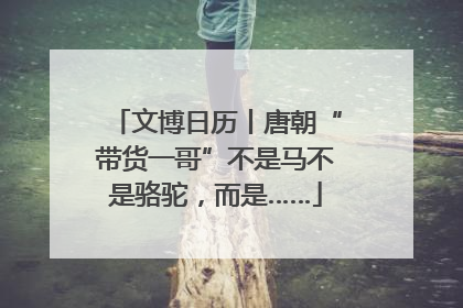 文博日历丨唐朝“带货一哥”不是马不是骆驼，而是……