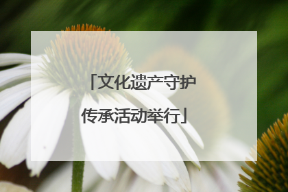 文化遗产守护传承活动举行