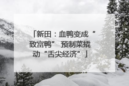 新田：血鸭变成“致富鸭” 预制菜撬动“舌尖经济”