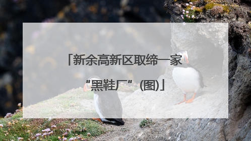 新余高新区取缔一家“黑鞋厂”(图)