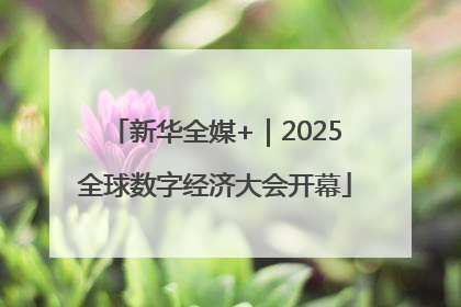 新华全媒+｜2025全球数字经济大会开幕