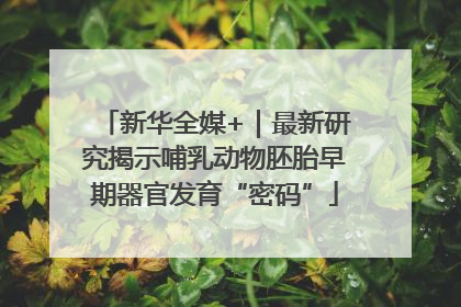 新华全媒+｜最新研究揭示哺乳动物胚胎早期器官发育“密码”