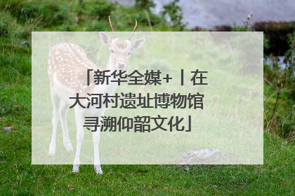 新华全媒+丨在大河村遗址博物馆寻溯仰韶文化