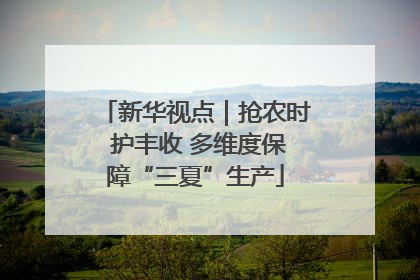 新华视点｜抢农时 护丰收 多维度保障“三夏”生产
