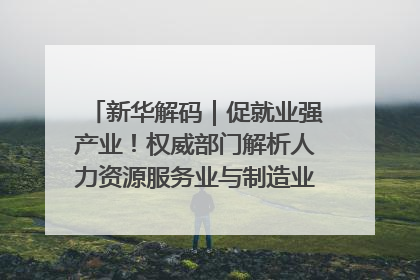 新华解码｜促就业强产业！权威部门解析人力资源服务业与制造业融合发展试点