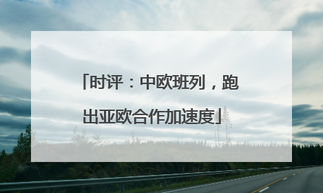 时评：中欧班列，跑出亚欧合作加速度