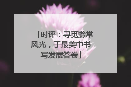 时评：寻觅黔常风光，于最美中书写发展答卷