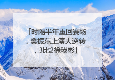 时隔半年重回赛场，樊振东上演大逆转，3比2徐瑛彬