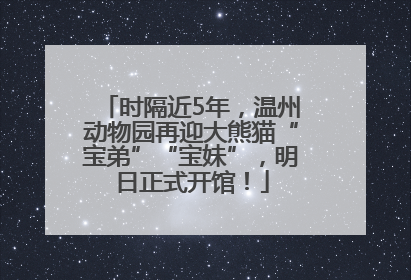 时隔近5年，温州动物园再迎大熊猫“宝弟”“宝妹”，明日正式开馆！