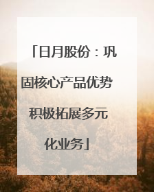 日月股份：巩固核心产品优势 积极拓展多元化业务
