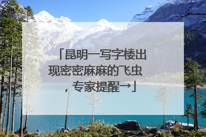 昆明一写字楼出现密密麻麻的飞虫，专家提醒→