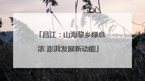 昌江：山海黎乡绿意浓 澎湃发展新动能