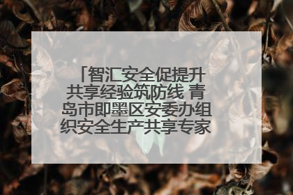 智汇安全促提升 共享经验筑防线 青岛市即墨区安委办组织安全生产共享专家现场观摩学习活动