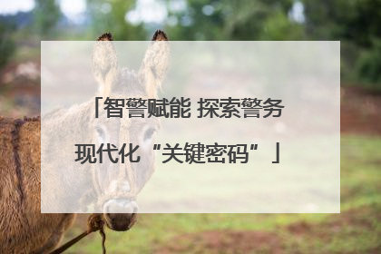 智警赋能 探索警务现代化“关键密码”