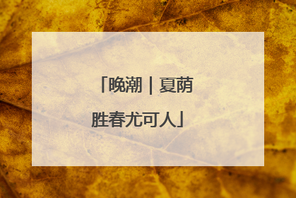 晚潮｜夏荫胜春尤可人