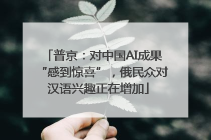 普京：对中国AI成果“感到惊喜”，俄民众对汉语兴趣正在增加