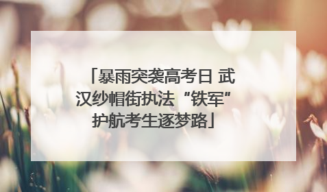 暴雨突袭高考日 武汉纱帽街执法“铁军”护航考生逐梦路