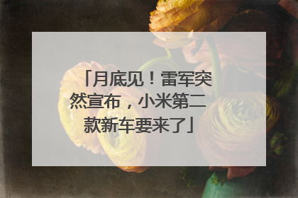 月底见！雷军突然宣布，小米第二款新车要来了