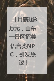 月薪超3万元，山东一景区招募语言类NPC，引发热议