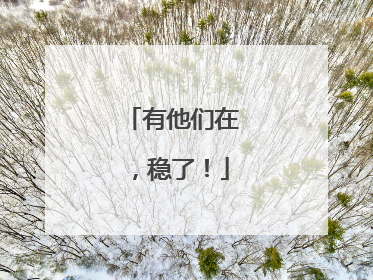有他们在，稳了！