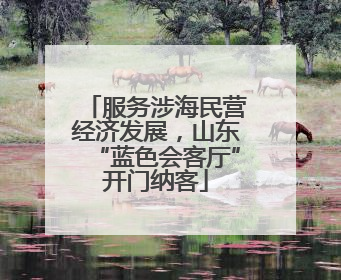 服务涉海民营经济发展，山东“蓝色会客厅”开门纳客