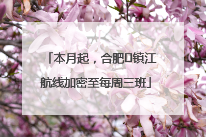 本月起，合肥⇋镇江航线加密至每周三班