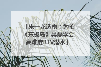 朱一龙透露：为拍《东极岛》吴磊学会高难度BTV潜水