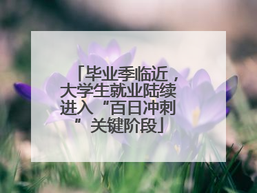 毕业季临近，大学生就业陆续进入“百日冲刺”关键阶段