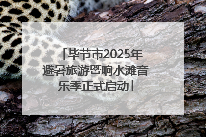 毕节市2025年避暑旅游暨响水滩音乐季正式启动
