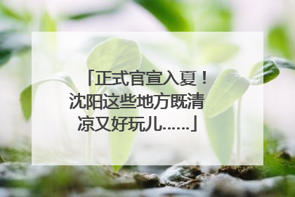 正式官宣入夏！沈阳这些地方既清凉又好玩儿……