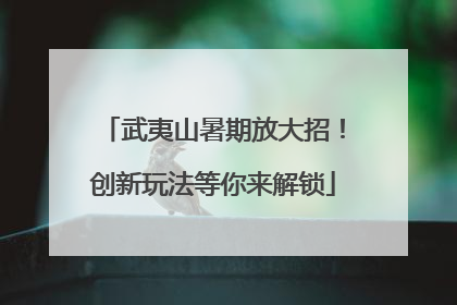 武夷山暑期放大招！创新玩法等你来解锁