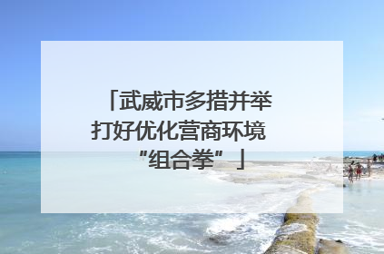 武威市多措并举打好优化营商环境“组合拳”