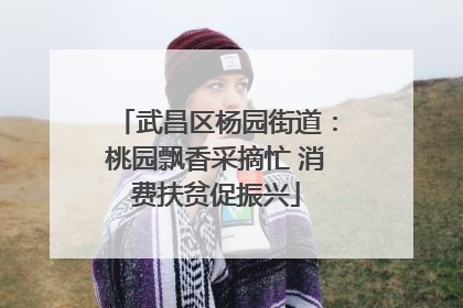 武昌区杨园街道：桃园飘香采摘忙 消费扶贫促振兴