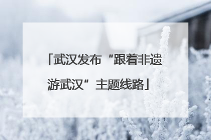 武汉发布“跟着非遗游武汉”主题线路