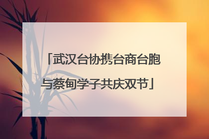 武汉台协携台商台胞与蔡甸学子共庆双节