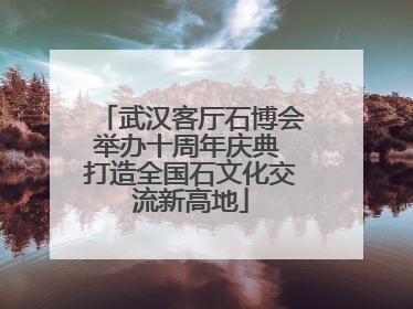 武汉客厅石博会举办十周年庆典 打造全国石文化交流新高地