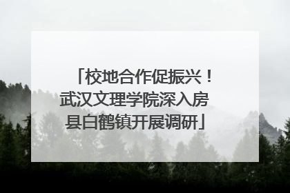 校地合作促振兴！武汉文理学院深入房县白鹤镇开展调研