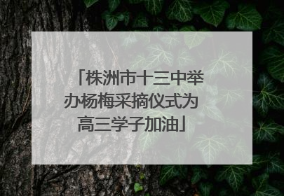 株洲市十三中举办杨梅采摘仪式为高三学子加油